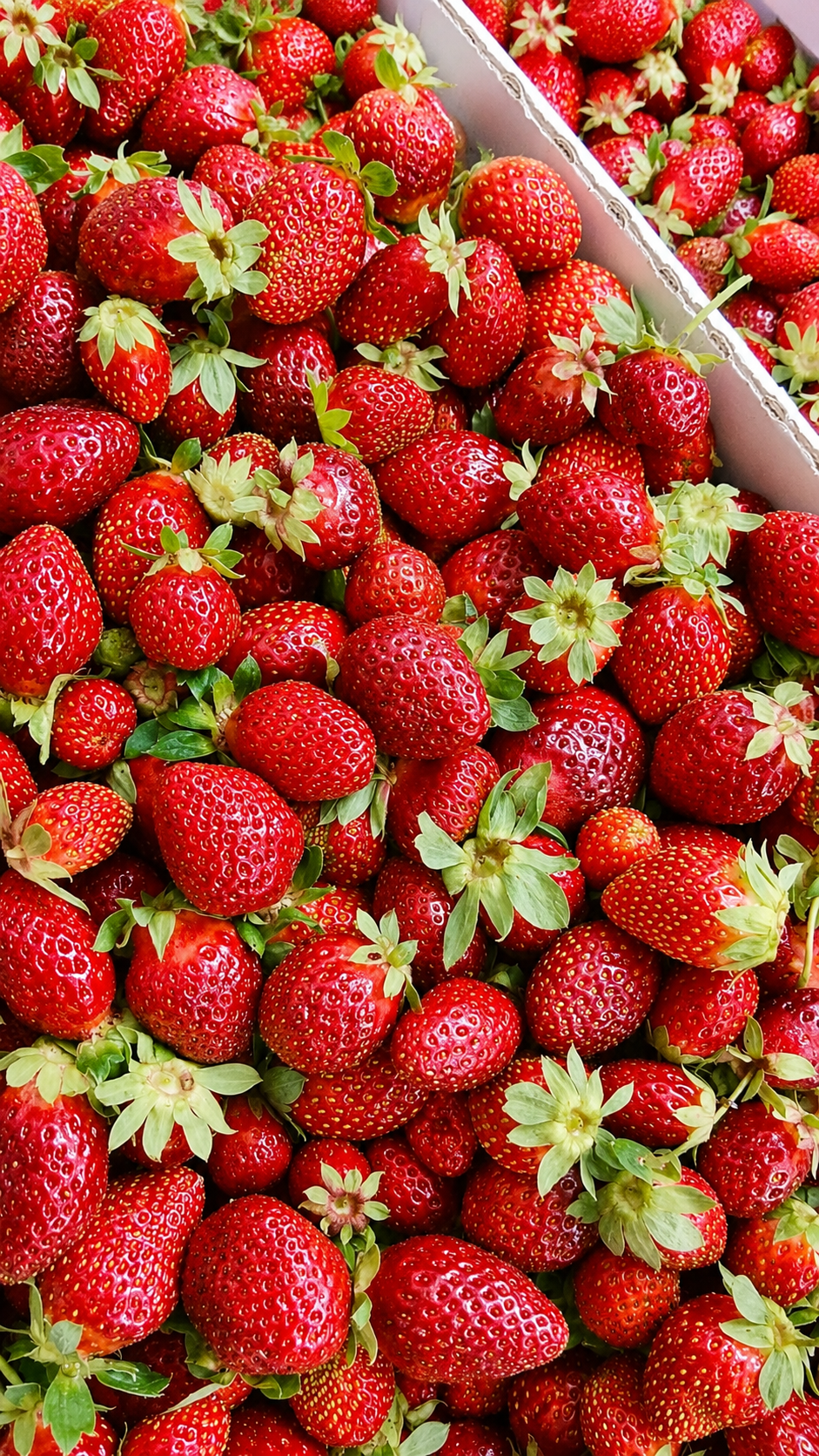Confettura di Fragole Calabresi